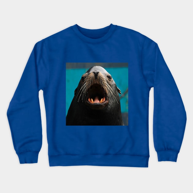 Seal Crewneck Sweatshirt by Oregon Art Shop